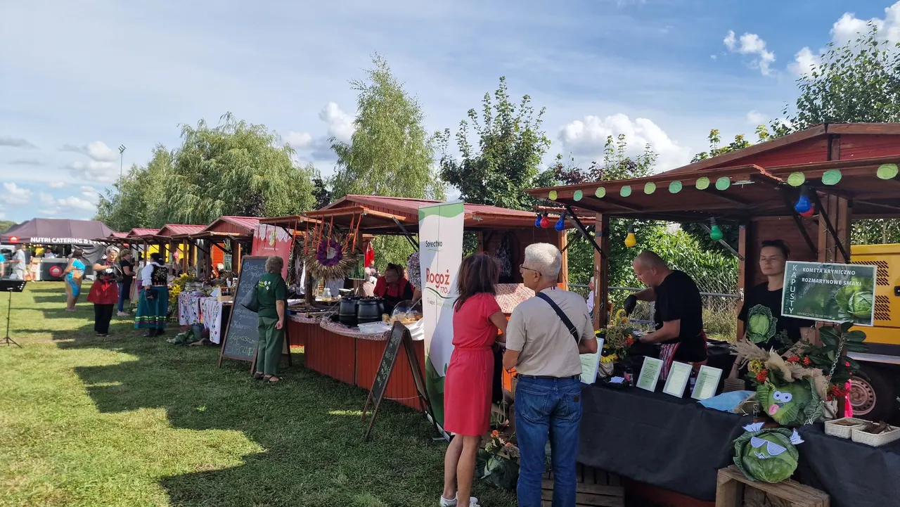 Dolnośląskie Święto Kapusty 2025 — zdjęcie 06